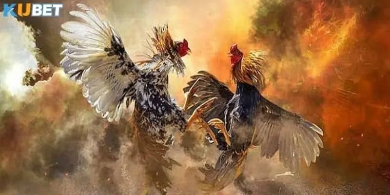 Khám phá những công nghệ xây dựng Kubet đá gà